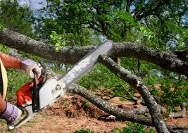 Best Lot and Land Clearing  in Pretty Bayou, FL